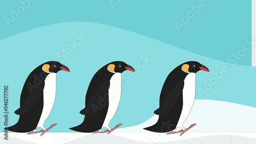 Three penguins going in line towards the water