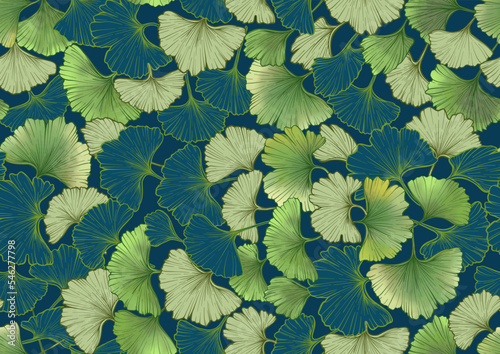 Ginkgo biloba leaves. Seamless pattern, background. Vector illustration. In botanical style