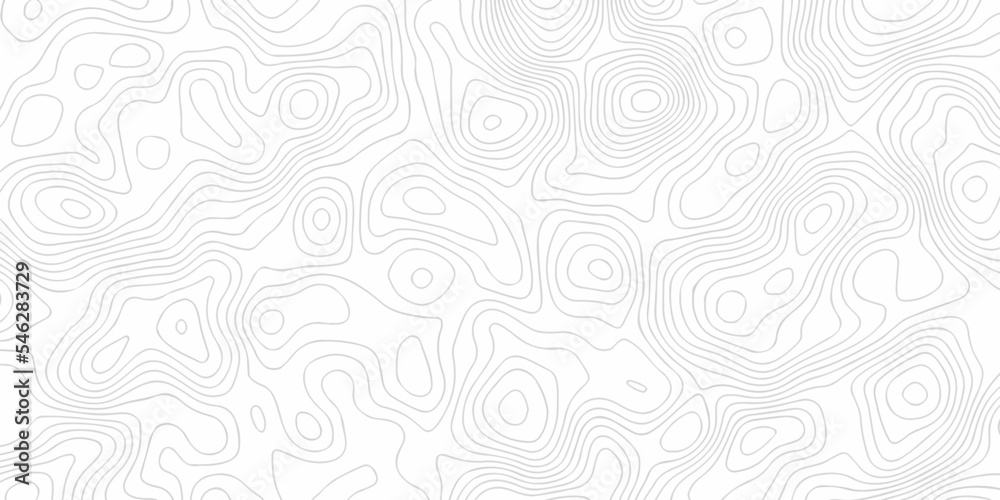 Topographic background and texture, monochrome image. White wave paper curved reliefs abstract background, Abstract topographic contours map background, Vector contour topographic map.