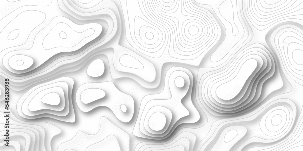 Abstract background vector and topographic patter line map background. silver line topography maount map contour background, geographic grid. Abstract vector illustration.