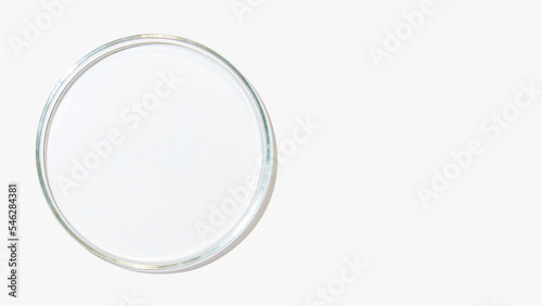 An empty petri dish on a light background.