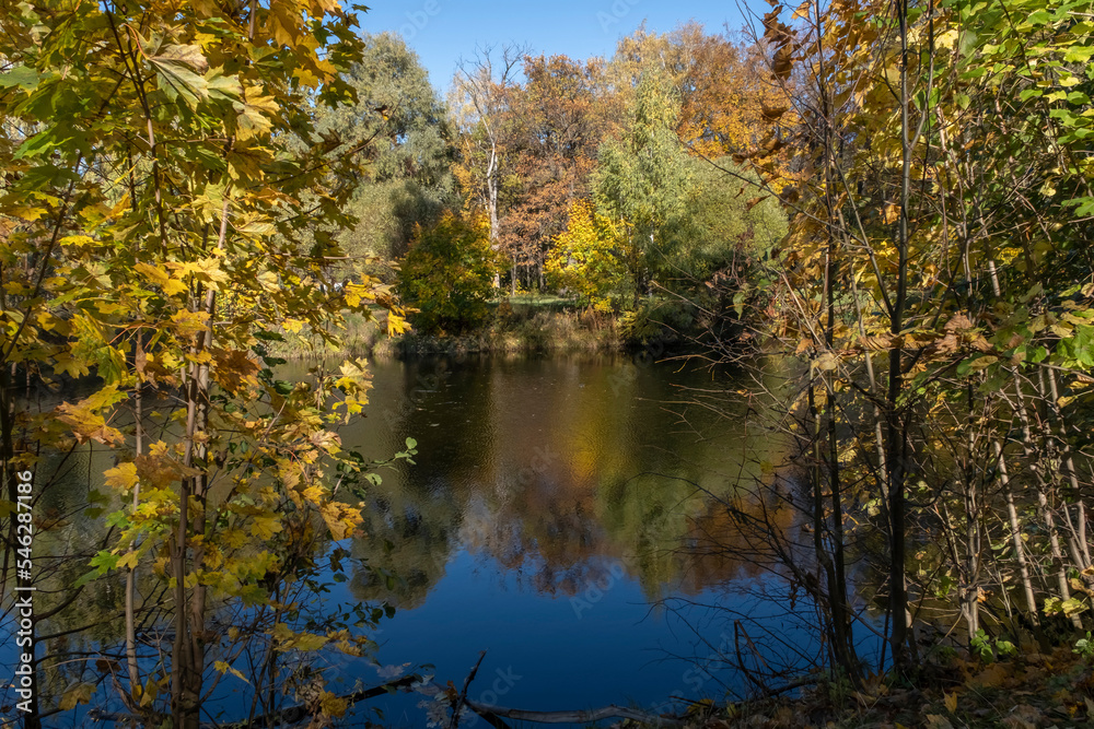 FOREST LAKE ON A SUNNY AUTUMN DAY