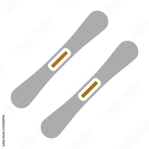 Skis Icon Style