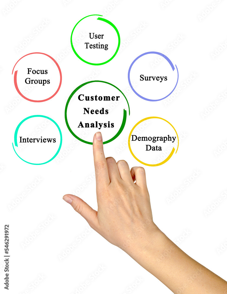 Five Components of Customer Needs Analysis Five Components of Customer Needs Analysis