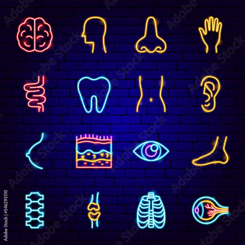 Body Organs Neon Icons. Vector Illustration of Medical Science Symbol.
