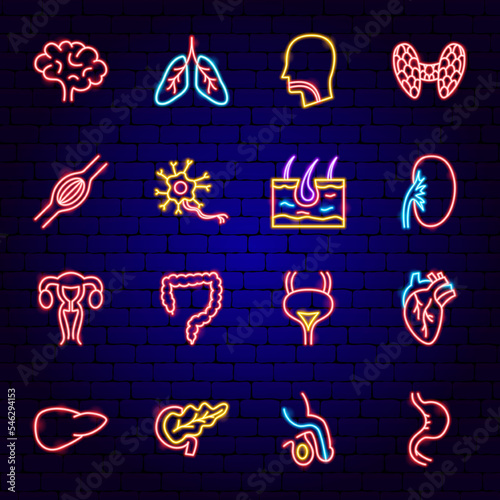 Anatomy Neon Icons. Vector Illustration of Medical Science Symbol.