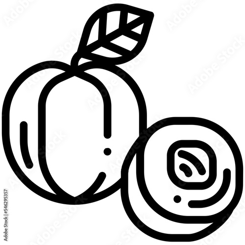 apricot fruit icon