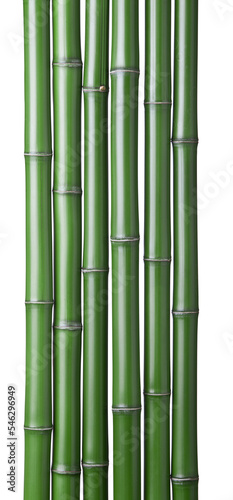 Fototapeta Naklejka Na Ścianę i Meble -  green bamboo sticks isolated.
