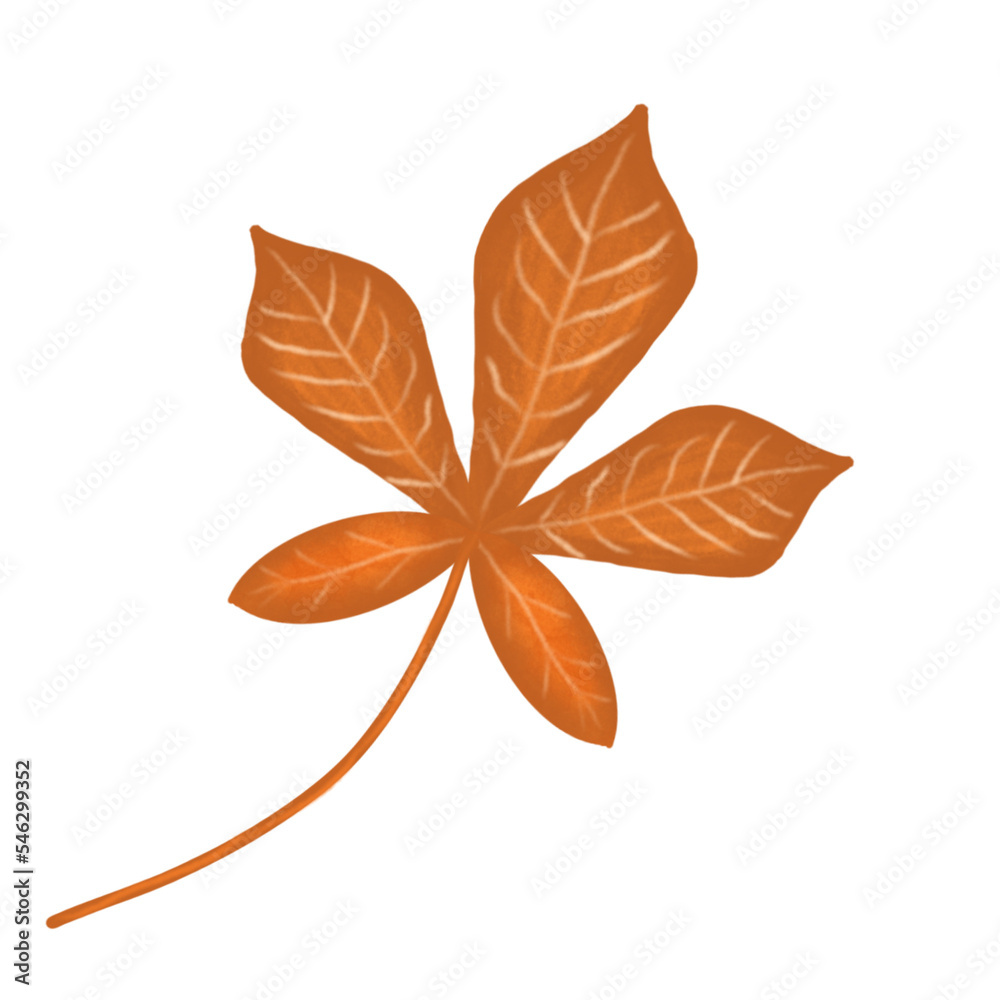 Autumn Leaf thanksgiving hand drawn element Autumn Leaf thanksgiving hand drawn element