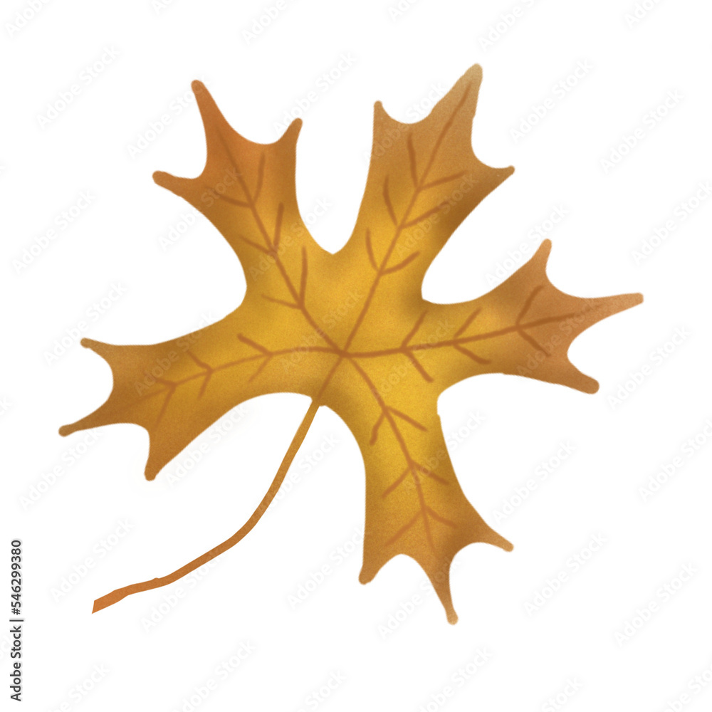 Naklejka premium Autumn Leaf thanksgiving hand drawn element