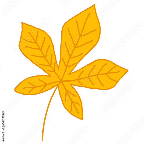 Autumn Leaf thanksgiving hand drawn element