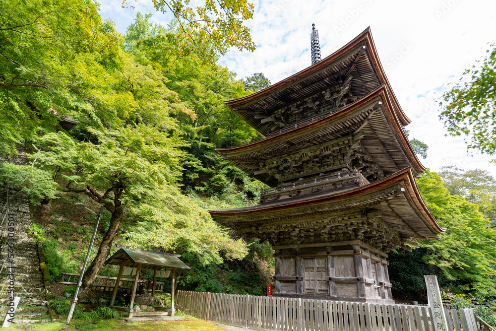 金剛院・鹿原公園・弘法の滝 金剛院・鹿原公園・弘法の滝