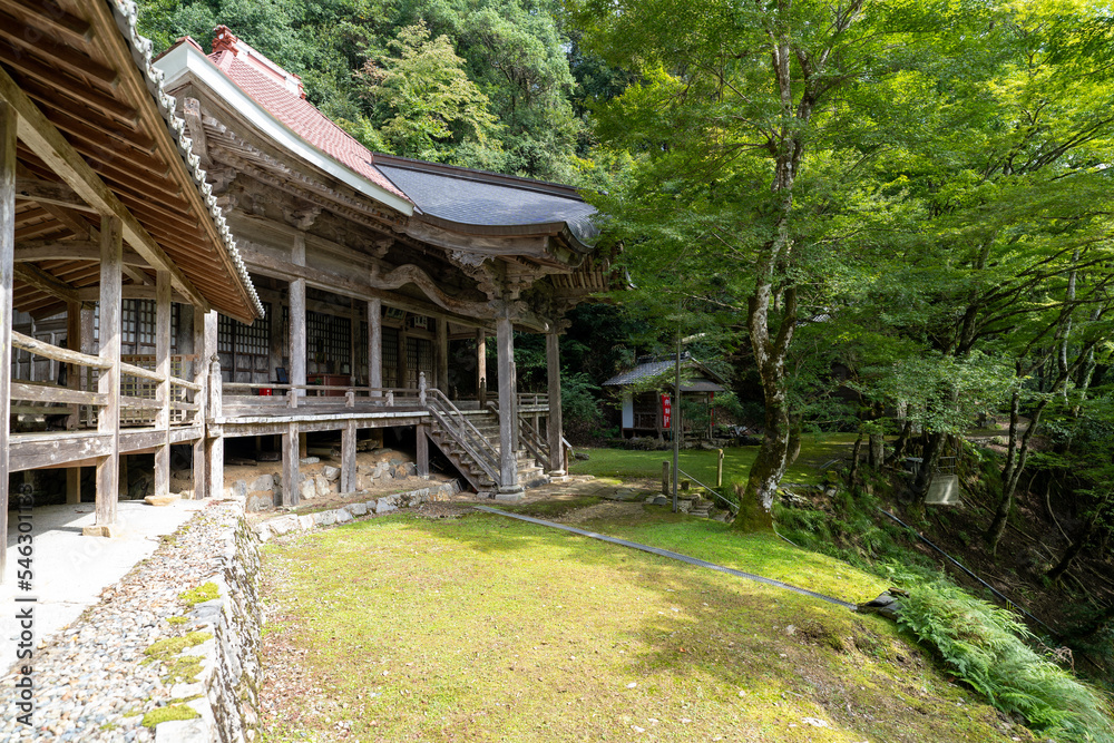 金剛院・鹿原公園・弘法の滝