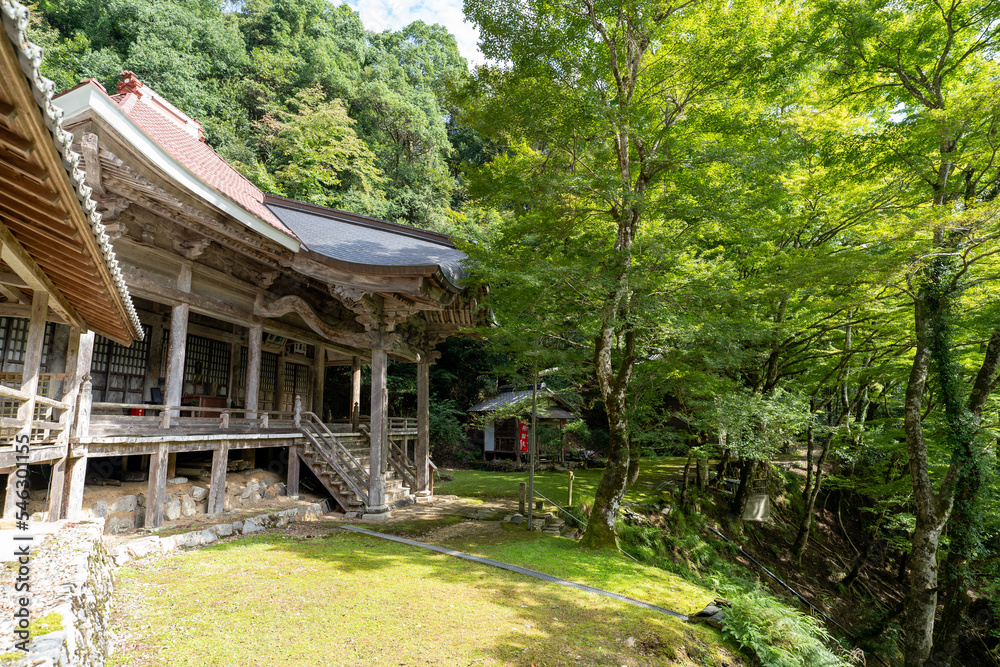 金剛院・鹿原公園・弘法の滝