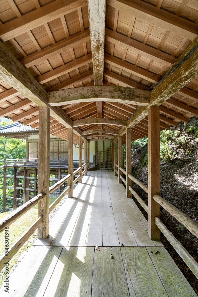 金剛院・鹿原公園・弘法の滝