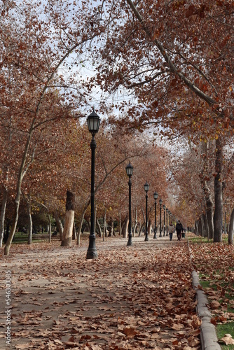 Fall