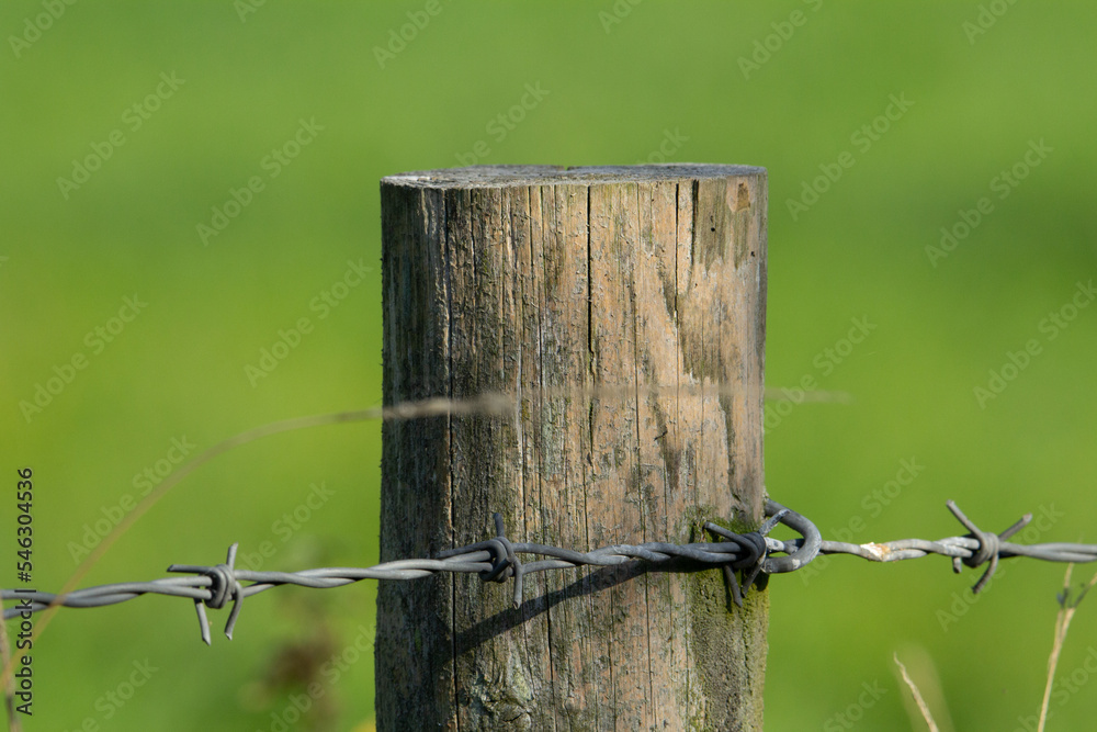 Barbed wire fence post deals