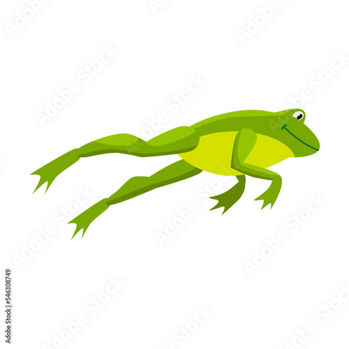 Green frog jumping for prey. Cartoon vector illustration. Leaping toad on white background. Funny water animal. Nature, movement, amphibia, reptile, fauna concept for design