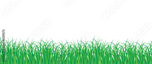 illustration of green grass isolated on transparency background png file resource graphic