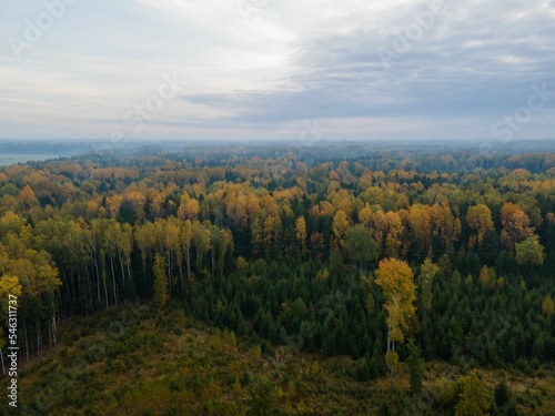 Aerial shot of trees in a forest changing colors for the autumn season under a cloudy sky