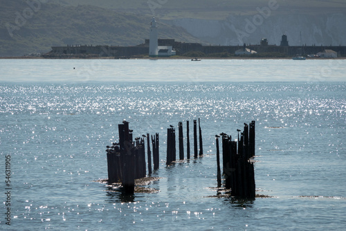 skeletal remains of old pier at Keyhaven and Lymington nature reserve Hampshire England with Hurst Point Light Lighthouse and Hurst Castle in the background photo