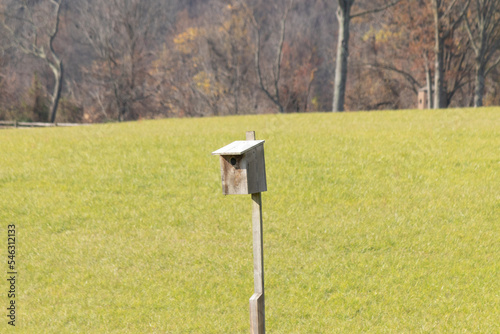 Love the picture of this birdhouse all alone in the middle of the field. This little brown wooden house is sitting here with no inhabitance due to the cold weather. The woods in the background. photo