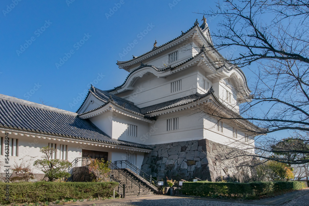 千葉県夷隅郡大多喜町の大多喜城