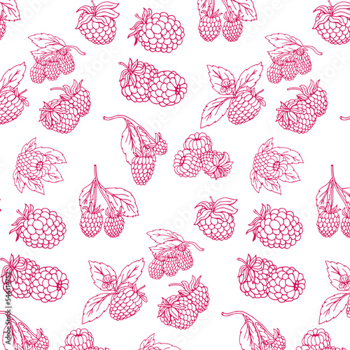 Seamless pattern with raspberries. Vector illustration