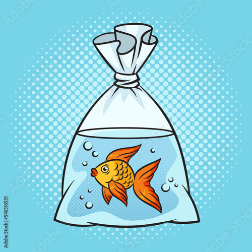 aquarium goldfish in plastic bag with water pinup pop art retro vector illustration. Comic book style imitation.