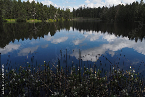 Etang de Gruere, Wolkenspiegelung, Schweiz