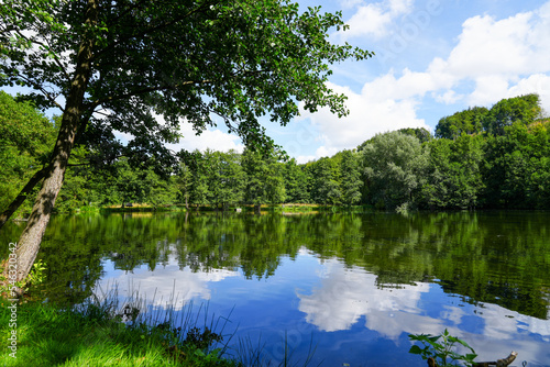 Paddling pond in Bad Wünnenberg. Nature in the park with a small lake. 