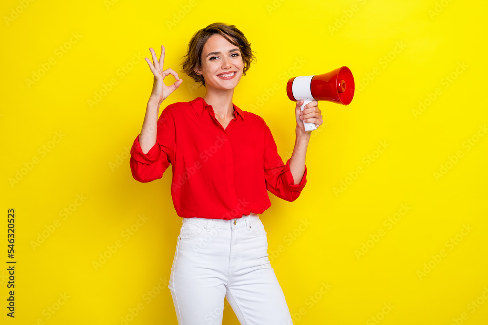 Photo of gorgeous lovely girlish girl with bob hairstyle wear red shirt hold loudspeaker showing okey isolated on yellow color background Photo of gorgeous lovely girlish girl with bob hairstyle wear red shirt hold loudspeaker showing okey isolated on yellow color background