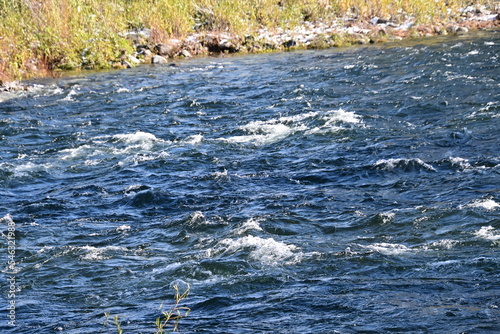 Fototapeta Naklejka Na Ścianę i Meble -  water flowing into the river
