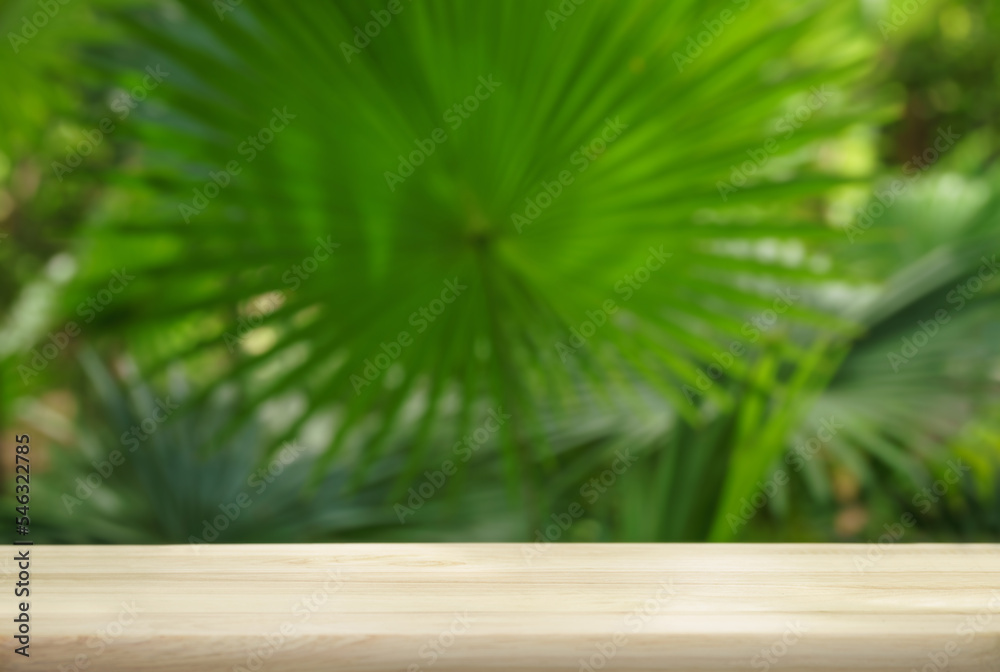 empty top table pine wood podium texture in tropical outdoor nature garden forest green plant soft sunlight jungle background with space.organic healthy natural product present promotion display.