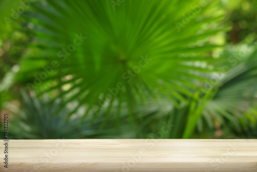 empty top table pine wood podium texture in tropical outdoor nature garden forest green plant soft sunlight jungle background with space.organic healthy natural product present promotion display.