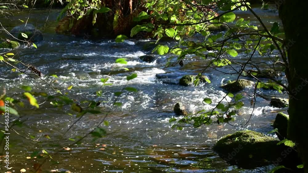 La rivière du Léguer à Tonquédec en Bretagne - 4K La rivière du Léguer à Tonquédec en Bretagne - 4K
