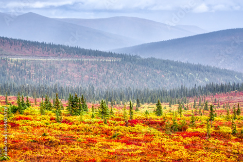 Colorful Alaskan Tundra along the Steese Highway