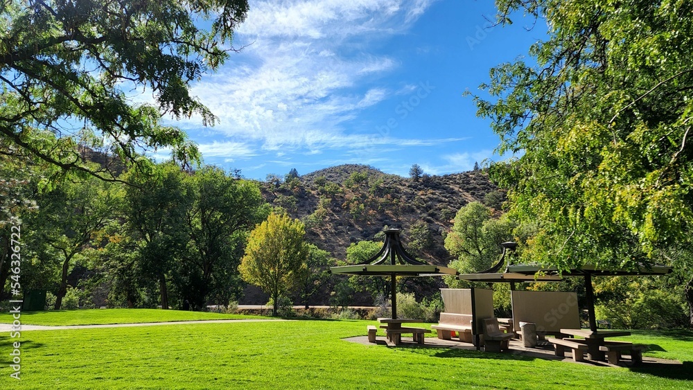 Beautiful tranquil park with with benches under umbrellas surrounded by trees