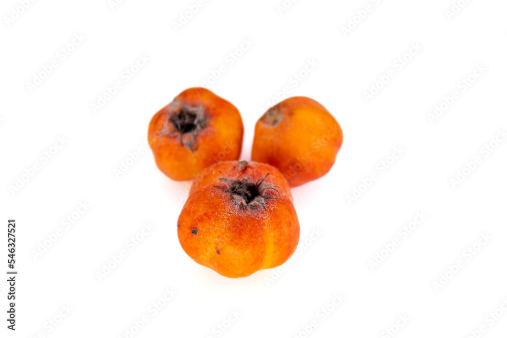 Red hawthorn fruit isolated on white background. Top view. Red hawthorn fruit isolated on white background. Top view.