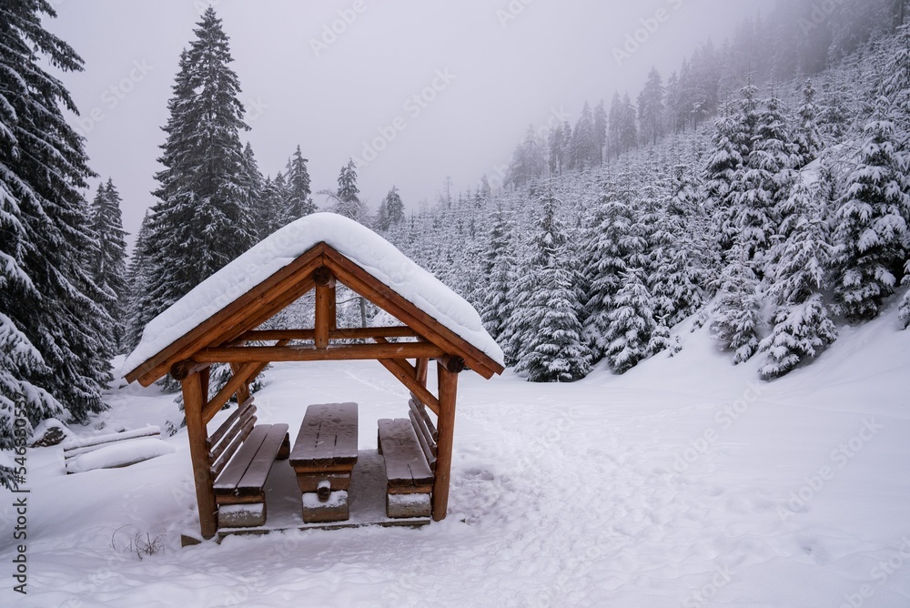 Φωτογραφία Closeup shot of a wooden alcove in the forest in winter