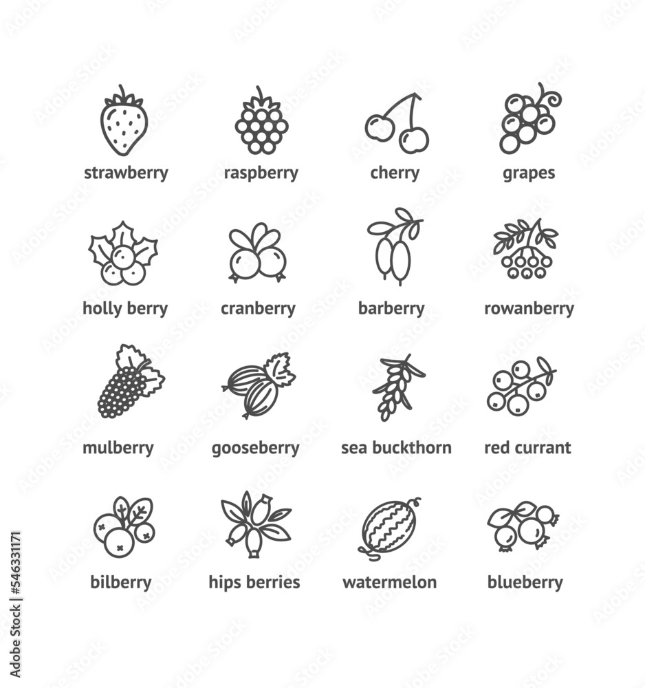 Berries Signs Thin Line Icons Set. Vector