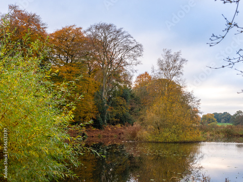 Autumn coloured trees around the lake at Arley, Cheshire, UK