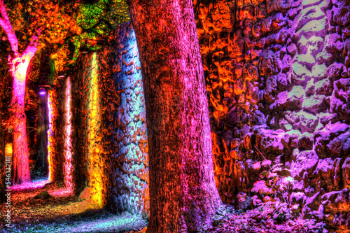 Stadmauer und Bäume bunt beleuchtet, Recklinghausen leuchtet