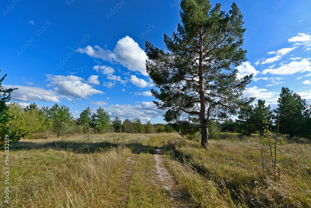 Beautiful landscapes of the plains and forests of eastern Ukraine