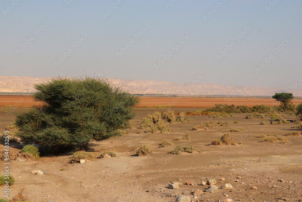 Jordan - in the road of Aqaba city and the borders of Eilat Jordan - in the road of Aqaba city and the borders of Eilat