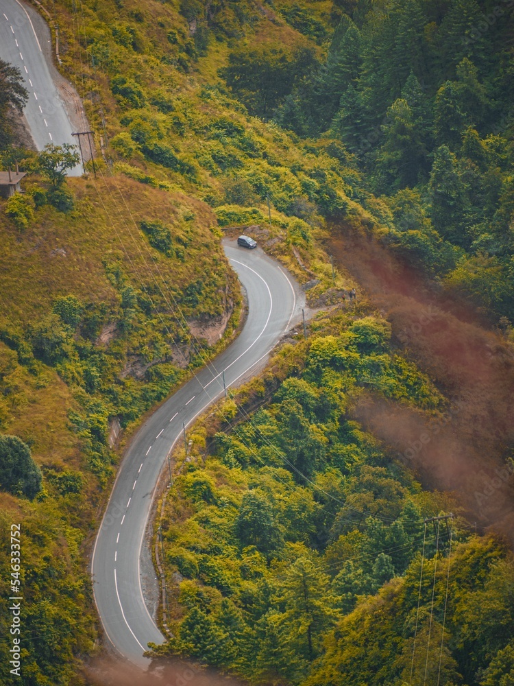 Vertical shot of a road surrounded by a beautiful forest in autumn - perfect for wallpapers