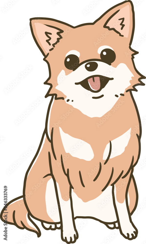 Obraz premium おすわりするレッドのチワワ