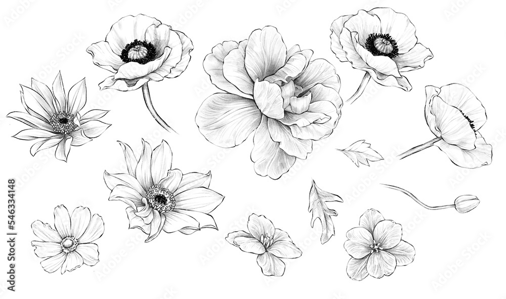 Set Of Hand Drawn Flowers