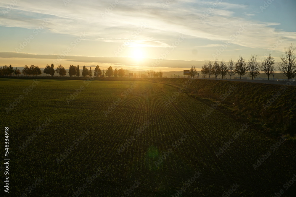 Grünes Landschaft Panorama mit Ackerfeld und Baumreihen bei Sonnenaufgang am Himmel am frühen Morgen im Herbst Grünes Landschaft Panorama mit Ackerfeld und Baumreihen bei Sonnenaufgang am Himmel am frühen Morgen im Herbst