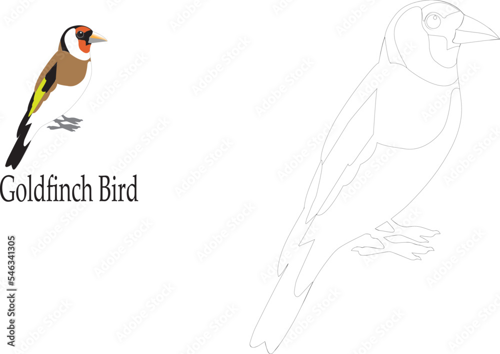 10 Small Bird Coloring Pages for Birdwatchers: Capture the Beauty of Nature